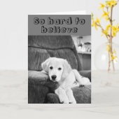 カワイイ子犬から誕生日***40th*** カード (黄色い花)