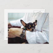 カワイイ&チワおもしろいハガキ ポストカード (正面/裏面)