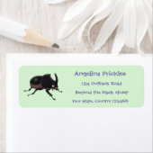 カワイイ ラベル (インサイチュ)