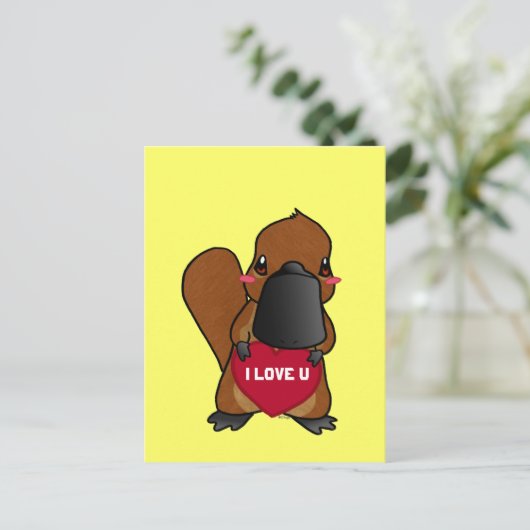 カワイカキ ポストカード (スタンド正面)