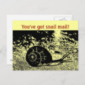 カワイカタツムリ得メールだ! ポストカード (正面/裏面)