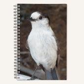 カワイカナダジェイ自然写真 ノートブック (正面)