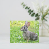 カワイズ保コネクテッドはがき ポストカード (スタンド正面)