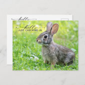 カワイズ保コネクテッドはがき ポストカード (正面/裏面)