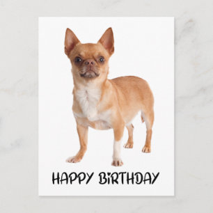 カワイチワワ誕生日子犬 ポストカード