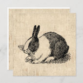 カワイトウサギヴィンテージアニマルアートイラストレーション シーズンカード (正面/裏面)