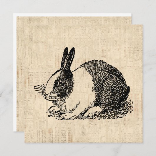 カワイトウサギヴィンテージアニマルアートイラストレーション シーズンカード (正面/裏面)