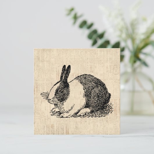 カワイトウサギヴィンテージアニマルアートイラストレーション シーズンカード (スタンド正面)
