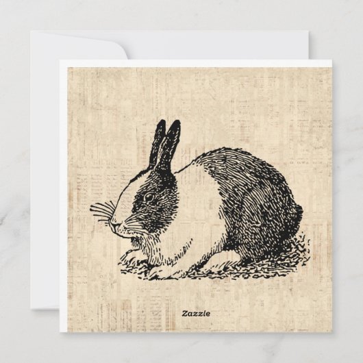 カワイトウサギヴィンテージアニマルアートイラストレーション シーズンカード (裏面)