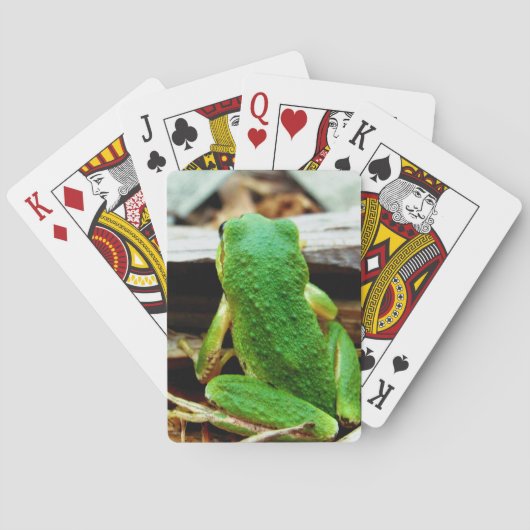 カワイトカエルトランプ トランプ (裏面)
