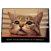 カワイトキャットラージ抱き枕 ラージペーパーバッグ (正面)