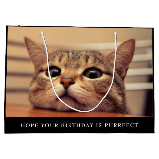 カワイトキャットラージ抱き枕 ラージペーパーバッグ (裏面)