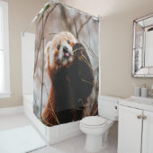 カワイトコアラ シャワーカーテン (インサイチュ)