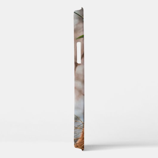 カワイトコアラ Case-Mate iPhoneケース (裏面 / 右)