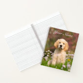 カワイトゴールデンリトリーバー犬小犬顔動物 – 名前 ノートブック (内部)