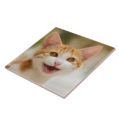 カワイトスマイル子猫顔おもしろい猫ニャー写真 タイル (側面)
