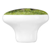 カワイトフルレッドキツネカブワイルドベビー – デコレーション セラミックノブ (側面)