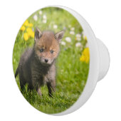 カワイトフルレッドキツネカブワイルドベビー – デコレーション セラミックノブ (右)