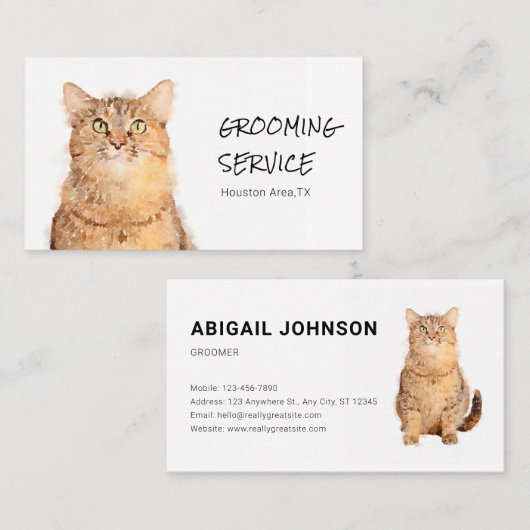 カワイトフワフワオレンジキャットグルーミング名刺 名刺 (正面/裏面)