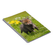カワイトフワフワ赤キツネ赤ちゃん動物フォトカバー ノートブック (右側)