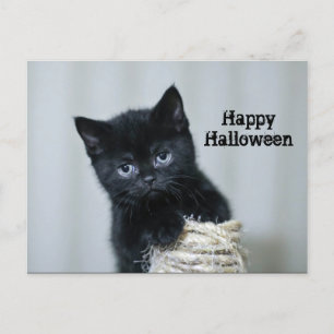 カワイトブラック子猫の巻き線写真ハロウィーン ポストカード