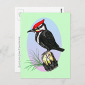 カワイトベビーウッドペッカーはがき ポストカード (正面/裏面)