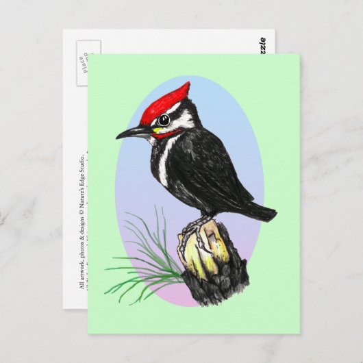 カワイトベビーウッドペッカーはがき ポストカード (正面/裏面)