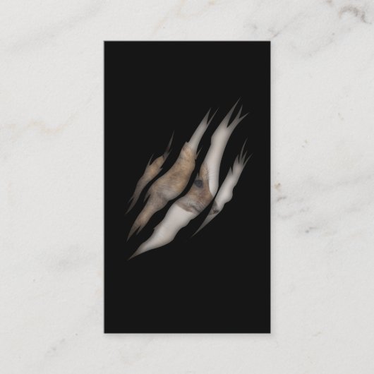 カワイトベビーキツネ愛好者破れ動物 名刺 (正面)