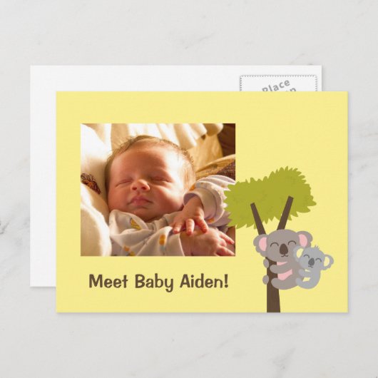 カワイトベビーコアラベア&ママの写真 ポストカード (正面/裏面)