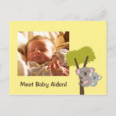 カワイトベビーコアラベア&ママの写真 ポストカード (正面)