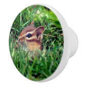 カワイトベビーチプムンク野生動物をのぞき見   セラミックノブ (右)