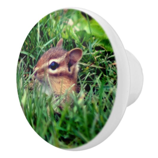 カワイトベビーチプムンク野生動物をのぞき見   セラミックノブ (右)