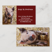 カワイトベビー子豚ファームアニマルズ納屋周囲の庭ベビー 名刺 (正面/裏面)