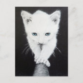 カワイトホワイトキッテン動物スケッチ猫好き ポストカード (正面)