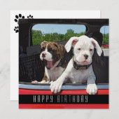 カワイトボクサーワンピーハッピーバースデードッグ 案内状 (正面/裏面)
