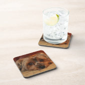 カワイトヨークシャーテリアワンちゃん コースター (右側)