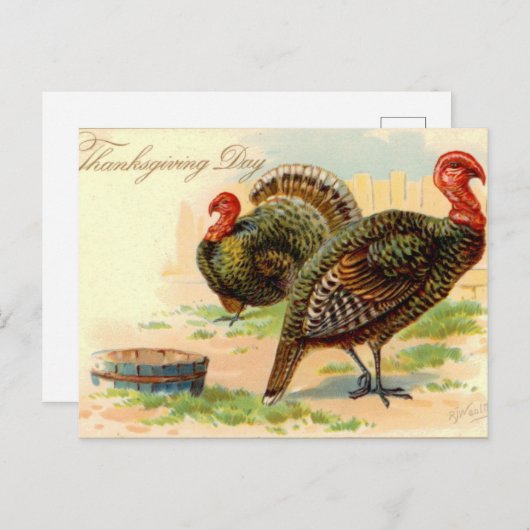 カワイト感謝祭ホリデーヴィンテージ七面鳥はがき ポストカード (正面/裏面)