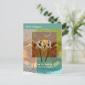 カワイト検眼試験アポイントメント ポストカード (スタンド正面)