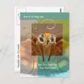 カワイト検眼試験アポイントメント ポストカード (正面/裏面)