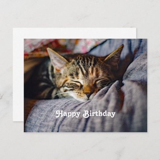 カワイト睡眠タビー猫写真誕生日 ポストカード (正面/裏面)