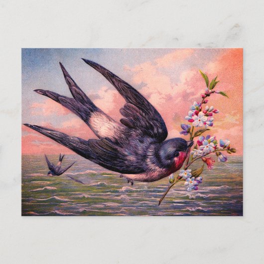 カワイブルーオレンジツバメの鳥かわいらしと花 ポストカード (正面)