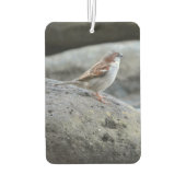 カワイ島ハワイの鳥 (私の写真) カーエアーフレッシュナー (裏面)