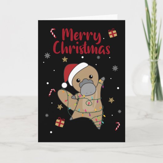 カワウサギのクリスマス タベス スイート アニマルズ カード (正面)