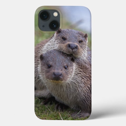 カワウソに恋中 iPad カバー (裏面)