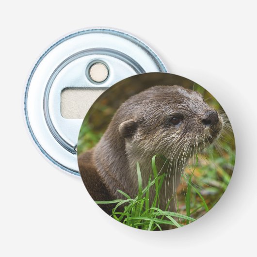 カワウソのスプラッシュ 栓抜き (正面)