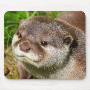 カワウソのポートレート....... マウスパッド
