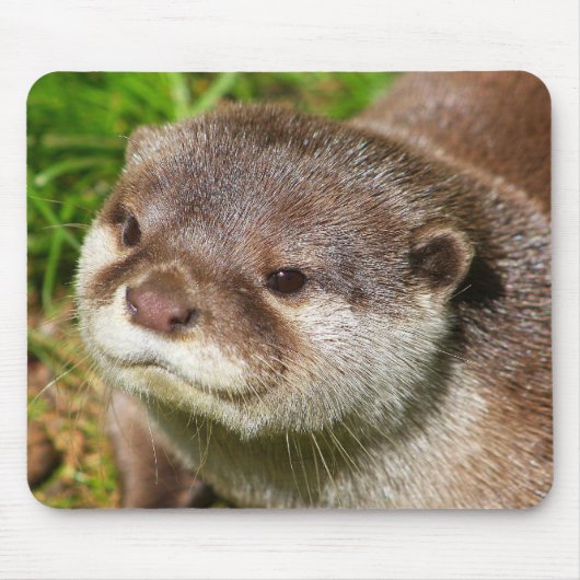 カワウソのポートレート....... マウスパッド (正面)