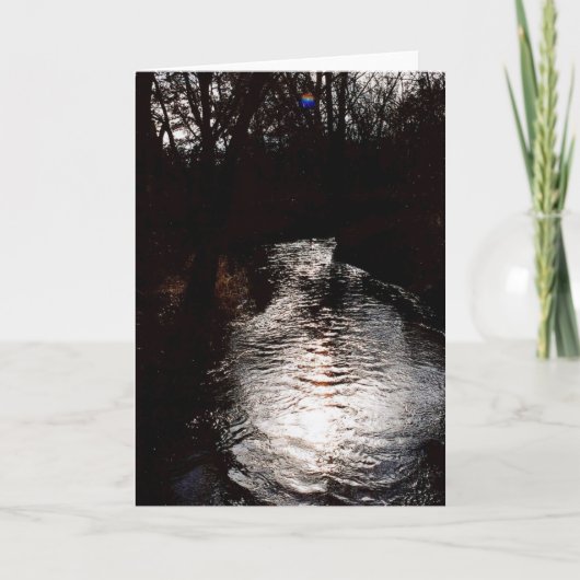 カワウソの入り江の日の出 カード (正面)