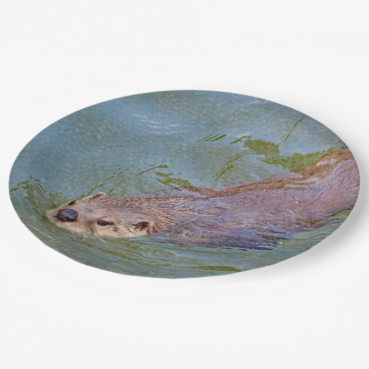 カワウソの写真 ペーパープレート (アングル)