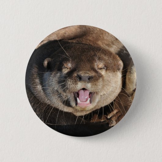 カワウソの写真 缶バッジ (正面)